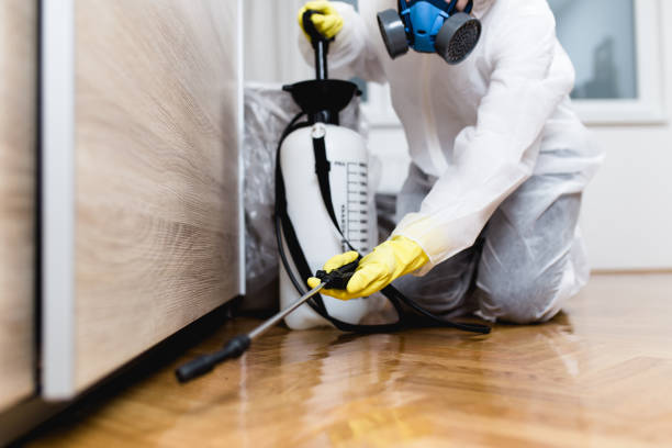 Best Termite Control Services  in College Park, GA