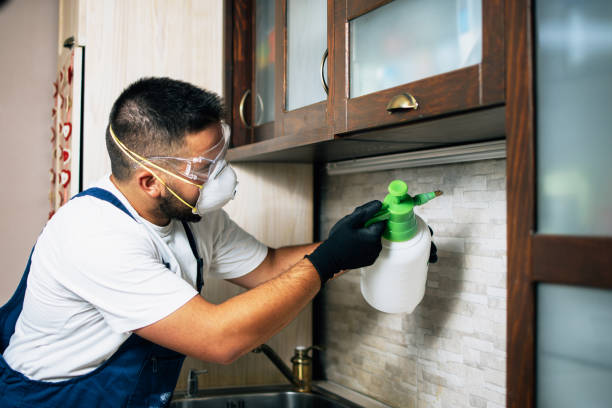 Wasp Removal Services in College Park, GA