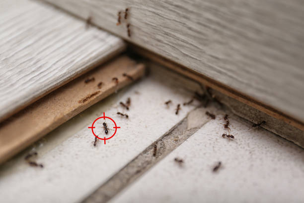  College Park, GA Pest Control Pros