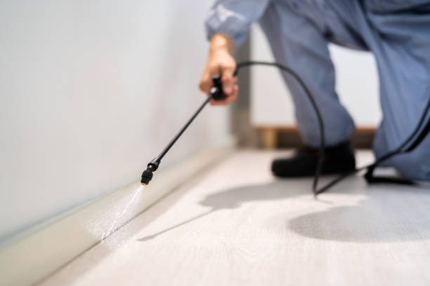 Pest Control for Restaurants in College Park, GA