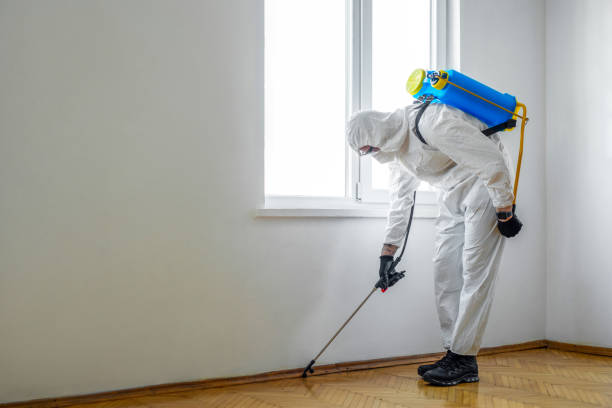 Best Flea Control Services  in College Park, GA