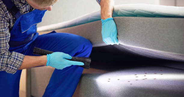 Best Pest Inspection Near Me  in College Park, GA