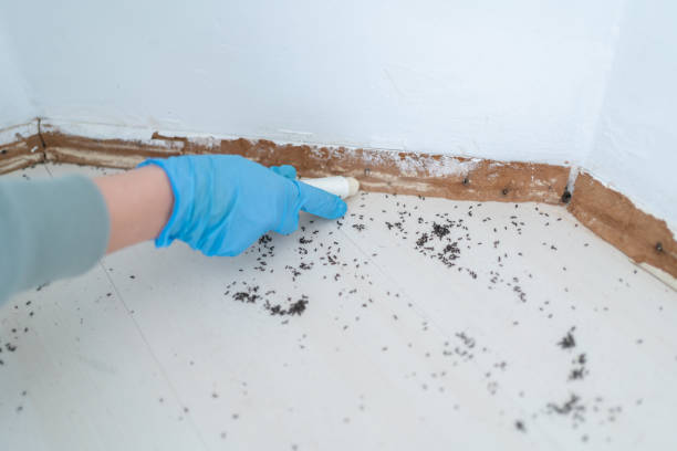 Best Emergency Pest Control  in College Park, GA